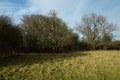 Hatfield Forest, February 2017 Royalty Free Stock Photo