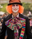 Hatter costume Royalty Free Stock Photo