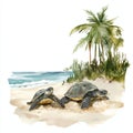 Hattes Beach - Turtle nesting. Hattes Beach - Turtle nesting hand drawn watercolor illustration Royalty Free Stock Photo