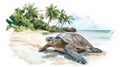 Hattes Beach - Turtle nesting. Hattes Beach - Turtle nesting hand drawn watercolor illustration Royalty Free Stock Photo