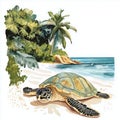 Hattes Beach - Turtle nesting. Hattes Beach - Turtle nesting hand drawn watercolor illustration Royalty Free Stock Photo