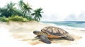 Hattes Beach - Turtle nesting. Hattes Beach - Turtle nesting hand drawn watercolor illustration Royalty Free Stock Photo