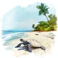 Hattes Beach - Turtle nesting. Hattes Beach - Turtle nesting hand drawn watercolor illustration Royalty Free Stock Photo