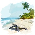 Hattes Beach - Turtle nesting. Hattes Beach - Turtle nesting hand drawn watercolor illustration Royalty Free Stock Photo