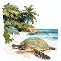 Hattes Beach - Turtle nesting. Hattes Beach - Turtle nesting hand drawn watercolor illustration Royalty Free Stock Photo