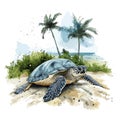 Hattes Beach - Turtle nesting. Hattes Beach - Turtle nesting hand drawn watercolor illustration Royalty Free Stock Photo