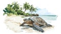 Hattes Beach - Turtle nesting. Hattes Beach - Turtle nesting hand drawn watercolor illustration Royalty Free Stock Photo