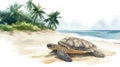 Hattes Beach - Turtle nesting. Hattes Beach - Turtle nesting hand drawn watercolor illustration Royalty Free Stock Photo