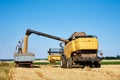 Hatvesting machine pours wheat grains into bacl of tractor, Harvest season Royalty Free Stock Photo