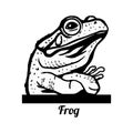 Haughty Frog - Funny Frog peeking out - face head isolated on white