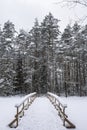 Haukkalampi pond view in winter, snowy trees and wooden bridge, Nuuksio National Park