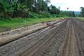 Haulage road in outback of Papua New Guinea Royalty Free Stock Photo