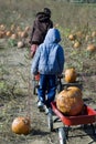 Haulin Pumpkins