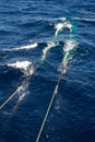 Hauling otter trawl fishing nets