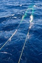 Hauling otter trawl fishing nets Royalty Free Stock Photo