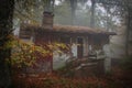 Haunted abandoned house in the autumn forest with fog Royalty Free Stock Photo