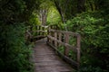 Haunted Bridge of Swan lake Victoria BC Canada