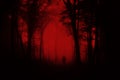 Haunted forest night scene with ghost Royalty Free Stock Photo