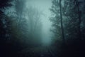 Haunted forest path through the fog Royalty Free Stock Photo