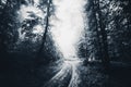 Haunted forest road on Halloween Royalty Free Stock Photo