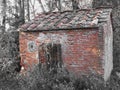 Haunted horror house. Old haunted house in the woods with evil spirits Royalty Free Stock Photo