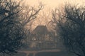 Haunted house scene in creepy forest Royalty Free Stock Photo