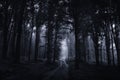 Haunted forest at night with road going through spooky trees Royalty Free Stock Photo