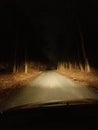 Haunted, night, headlights, trees, nature