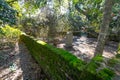 Haunted South Carolina Cemetery Background Royalty Free Stock Photo