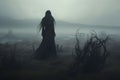 Haunting banshee wailing amidst the foggy moors