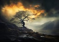 The Haunting Beauty of Tree Hill: A Photographic Study Royalty Free Stock Photo