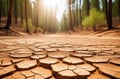 haunting image features trees struggling to thrive amidst the backdrop of cracked and desolate soil, symbolizing the Royalty Free Stock Photo