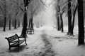 A haunting, winter scene in January, where trees mourn in monochrome