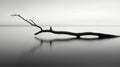 Minimalist Black And White Seascape: Floating Limb In Zen Style