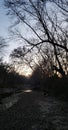 Hauntingly Beautiful Sunset Mirrored Beneath the Trees