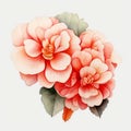Hauntingly Beautiful Watercolor Flowers Inspired By James Jean And Thai Art
