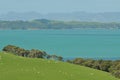 Hauraki Gulf view