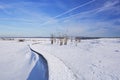 Hautes Fagnes in Belgium in winter on a clear day Royalty Free Stock Photo