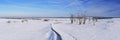 Hautes Fagnes in Belgium in winter on a clear day Royalty Free Stock Photo