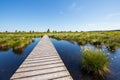 Hautes Fagnes Hohes Venn in spring time Royalty Free Stock Photo