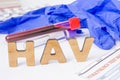 HAV Medical acronym or abbreviation of hepatitis A virus in laboratory test diagnostics and physical diagnosis. Word HAV is near b