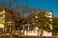 HAVANA, CUBA- MARCH 2018: landscape with a view of beautiful Cuban houses on a local street