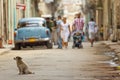 Havana street