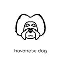 Havanese dog icon. Trendy modern flat linear vector Havanese dog