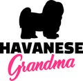 Havanese Grandma