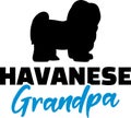 Havanese Grandpa