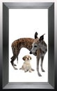 Two dogs in a modern silvery frame