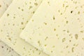 Havarti Cheese Royalty Free Stock Photo