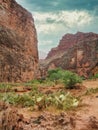 Havasu Canyon in the Grand Canyon Royalty Free Stock Photo