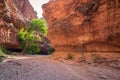 Havasupai Canyon Hike